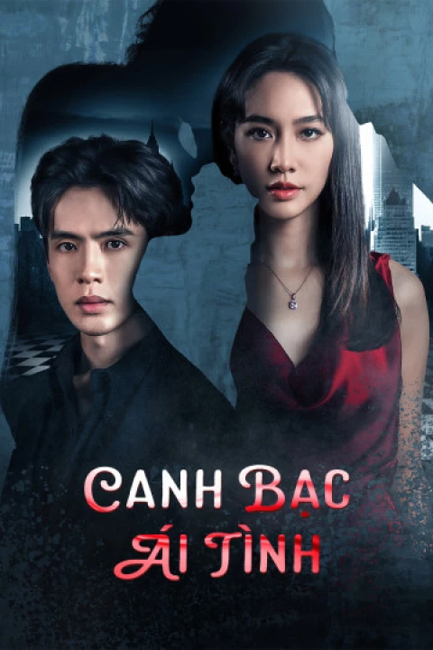 Canh Bạc Ái Tình 2024