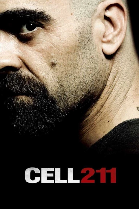 Cell 211 2008