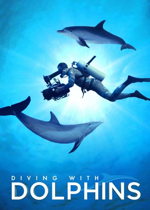 Diving with Dolphins 2019