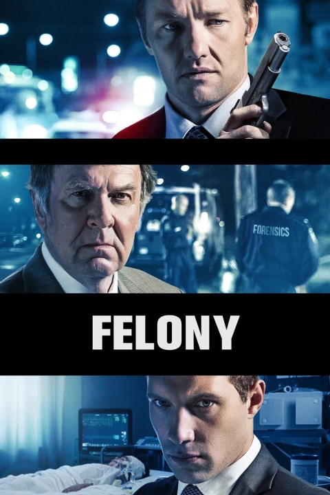 Felony 2013