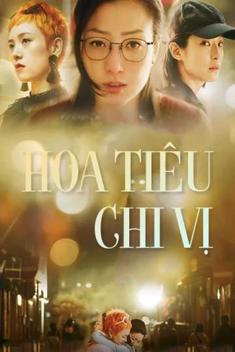 Hoa Tiêu Chi Vị 2019